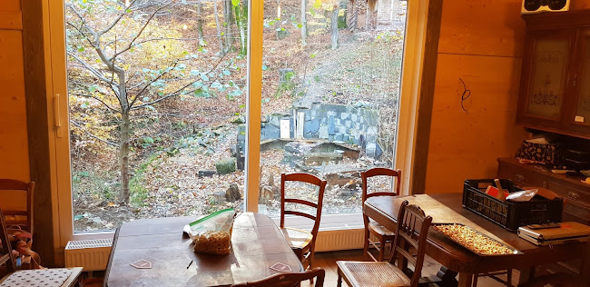 Opinii despre Lesné bistro Vážka în Marianka - Gastronómia a pohostinstvo