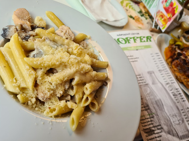 Comentarii opinii despre Hájovňa u HOFFERA