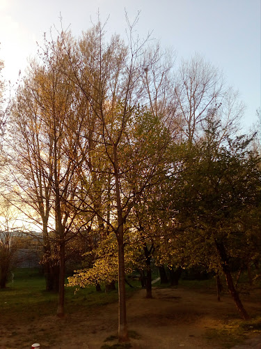 Technopol Gastro - Gastronómia a pohostinstvo