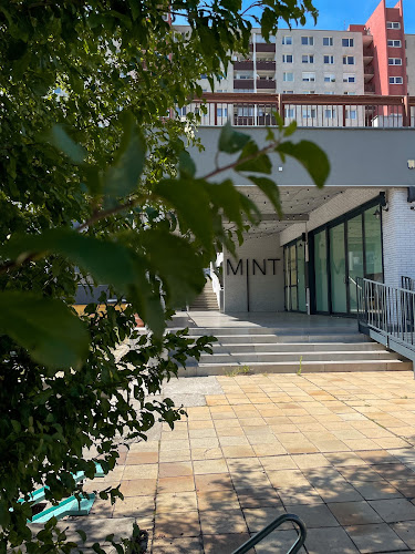 MINT Karlovka - Karlova Ves