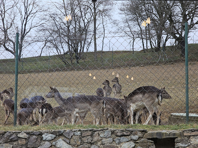 Piešťany 357, 922 31 Piešťany