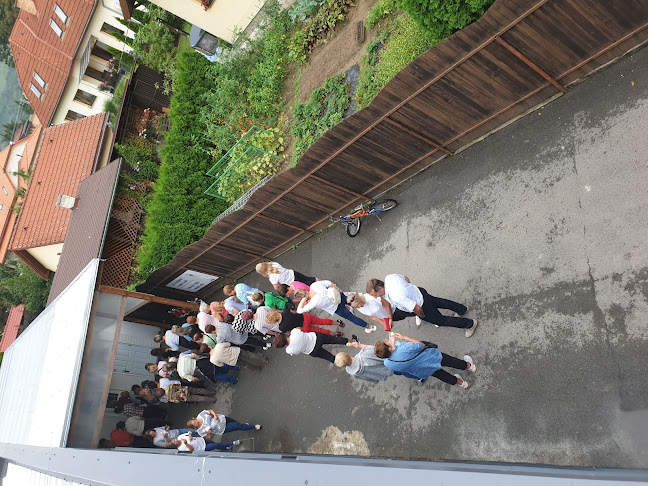 Comentarii opinii despre Zmrzlina CAMBERA