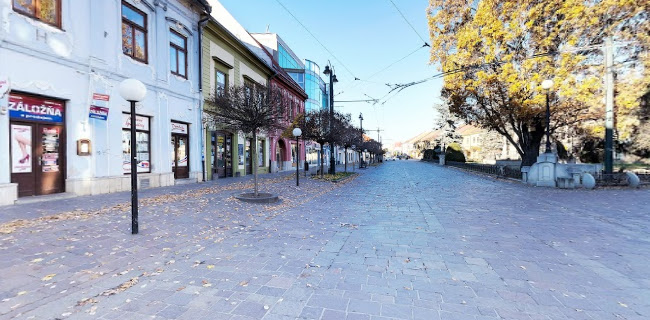 Hlavná 103, 080 01 Prešov