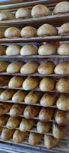 Rybárska 15, 914 41 Nemšová