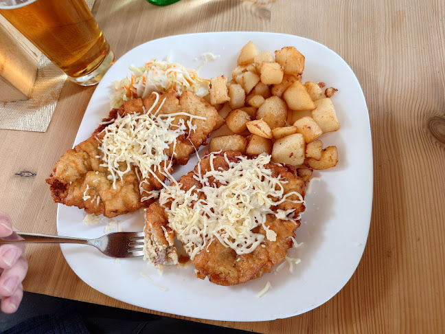 Opinii despre Reštaurácia Zelený Dvor în Sídlisko Ťahanovce - Gastronómia a pohostinstvo