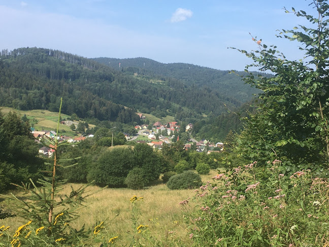 Opinii despre Pohostinstvo în Uľanka - Gastronómia a pohostinstvo