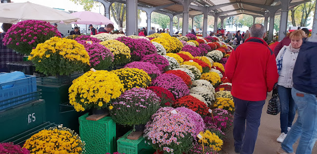 Legionárska, 911 01 Trenčín