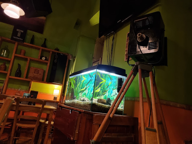 Comentarii opinii despre Bernard Club