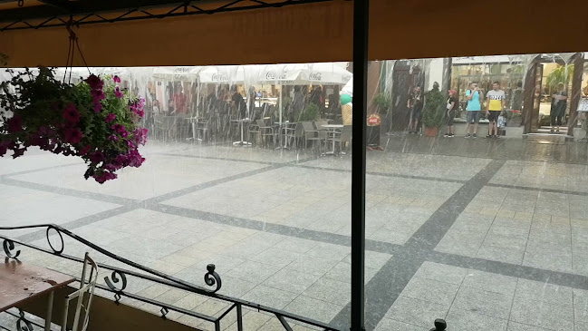 Le Griffon - Piešťany