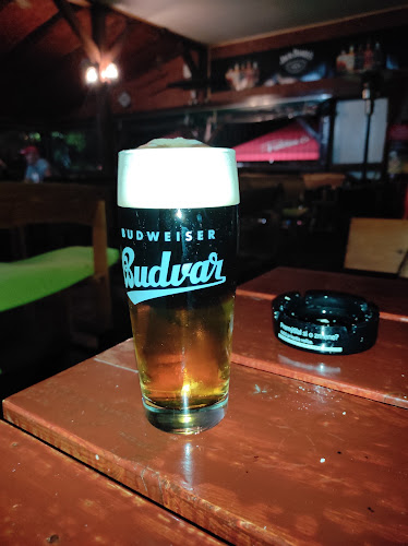Comentarii opinii despre Žalár Pub