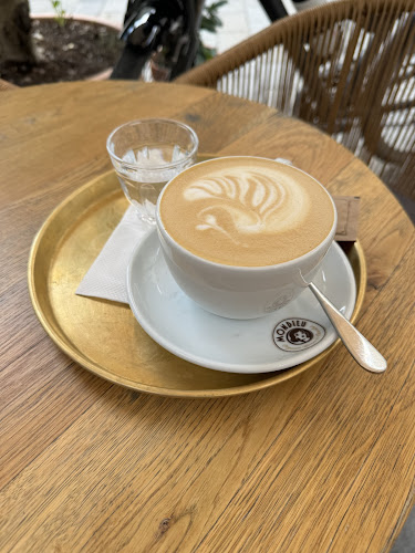 Comentarii opinii despre MONDIEU FRANCHISÉ No. 1