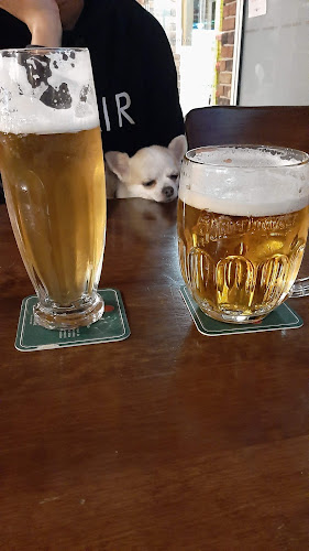 Country Saloon - Gastronómia a pohostinstvo