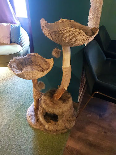 Comentarii opinii despre Mačacia Kaviareň Banská Bystrica