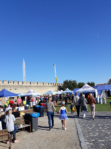 Kráľovská 4, Skalica, 909 01 Skalica