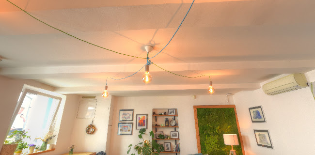 Opinii despre Schöndorf Bratislava în Staré Mesto - Gastronómia a pohostinstvo