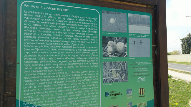 Levické rybníky s.r.o. - Gastronómia a pohostinstvo