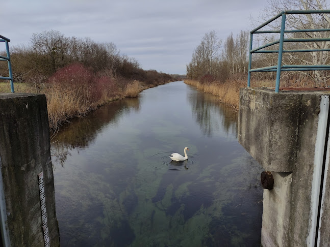 Bufet Gajc (Malá Vyza) - Gastronómia a pohostinstvo