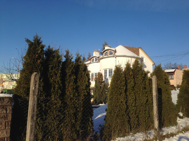 Comentarii opinii despre Atila