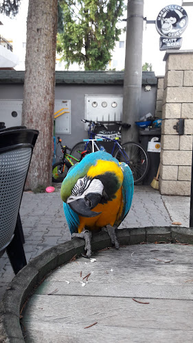 Hradská 8518/124, 821 07 Vrakuňa