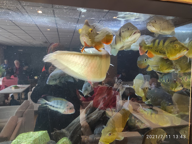 Opinii despre Cukráreň Alžbetka în Nová Baňa - Gastronómia a pohostinstvo