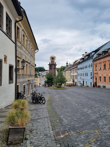 Kaviareň Gavalier Banská Štiavnica - Gastronómia a pohostinstvo