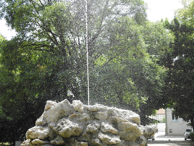 Comentarii opinii despre Ooooo