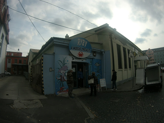 Ryby a Morské špeciality - Gastronómia a pohostinstvo