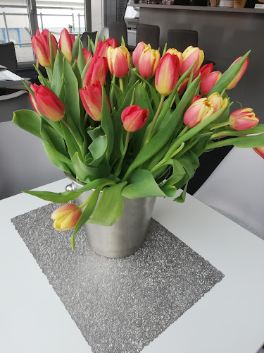 Comentarii opinii despre ZOOM Cafe