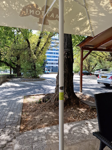 Cukráreň u Šefkiiho