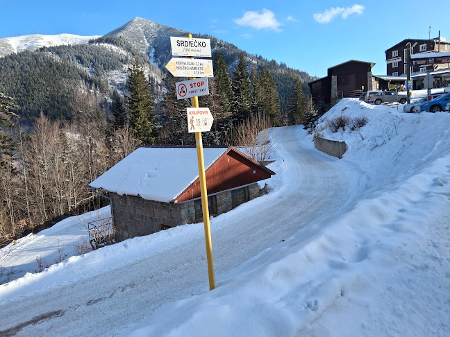 Comentarii opinii despre Srdiečko