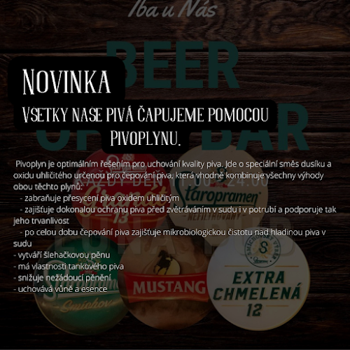 Luna Pub - Gastronómia a pohostinstvo