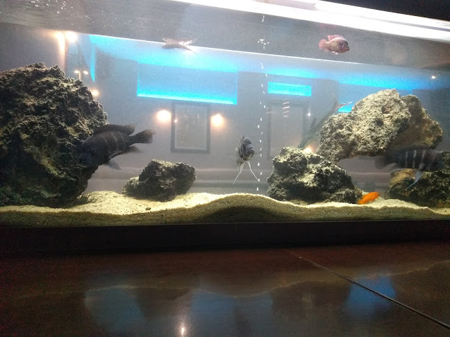 Nám. gen. M. R. Štefánika 44, 977 01 Brezno