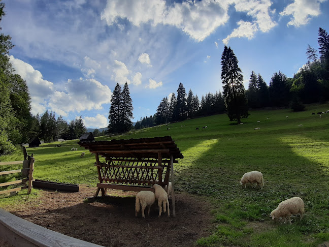 Koliba u Dobrého pastiera - penzión a reštaurácia - Gastronómia a pohostinstvo