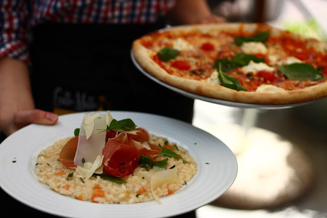 Comentarii opinii despre Gatto Matto Rusovce