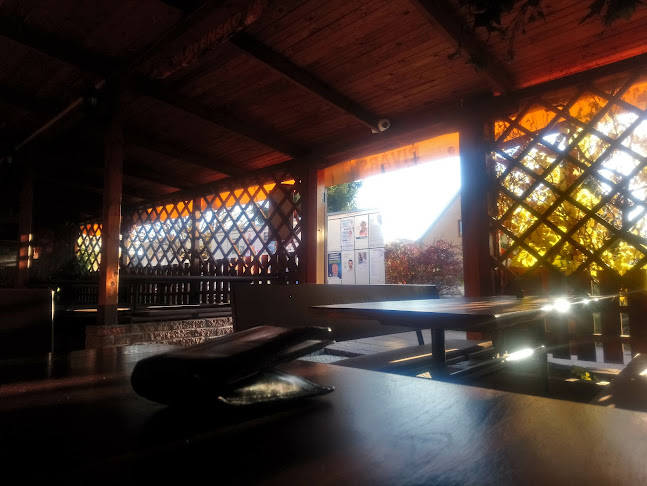 Comentarii opinii despre Miki Bar