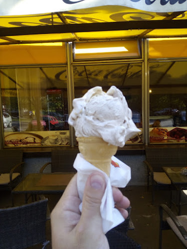 MIMOZA - Gastronómia a pohostinstvo