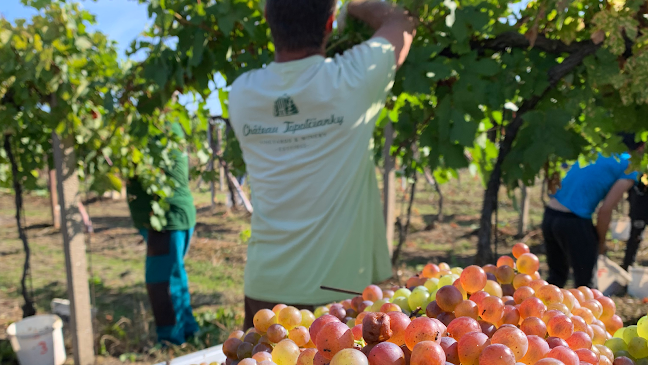 Château Topoľčianky - Topoľčianky