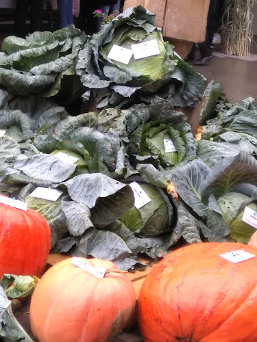 Cukráreň MajPet - Gastronómia a pohostinstvo