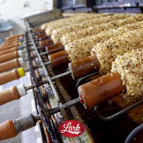 Comentarii opinii despre Lark Skalica