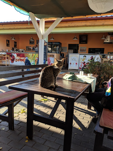 Slovanské nábrežie, 841 10 Devín