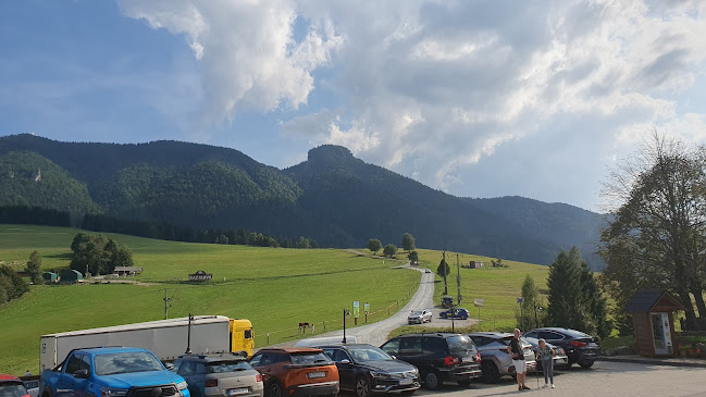 Salaš - koliba Syrex - Gastronómia a pohostinstvo