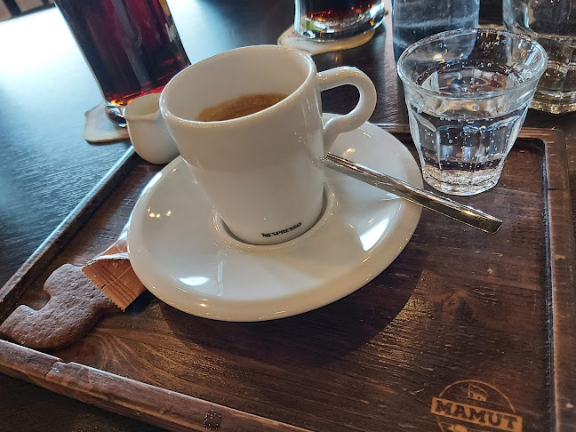 Comentarii opinii despre Mamut Pub