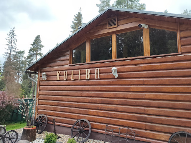 Demänovská Dolina 2, 031 01 Demänovská Dolina