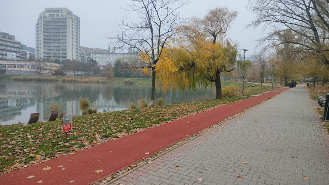 Štrkovecká Lodenica - Bratislava