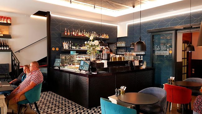 Comentarii opinii despre Gatto Matto Ventúrska