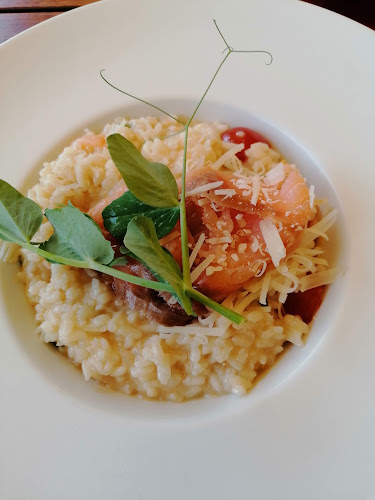 Opinii despre Kaštieľ Fričovce în Fričovce - Gastronómia a pohostinstvo