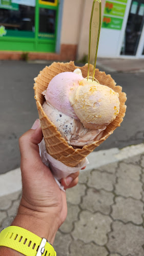Zmrzlina Hasan