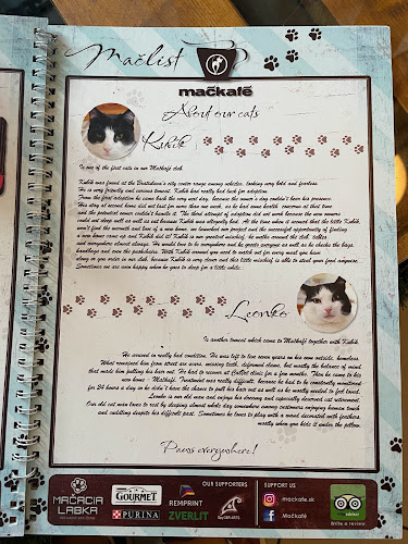 Comentarii opinii despre Mačkafé klub