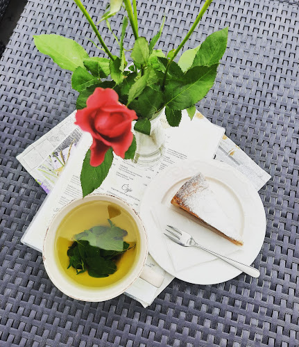 Provence Café - Gastronómia a pohostinstvo