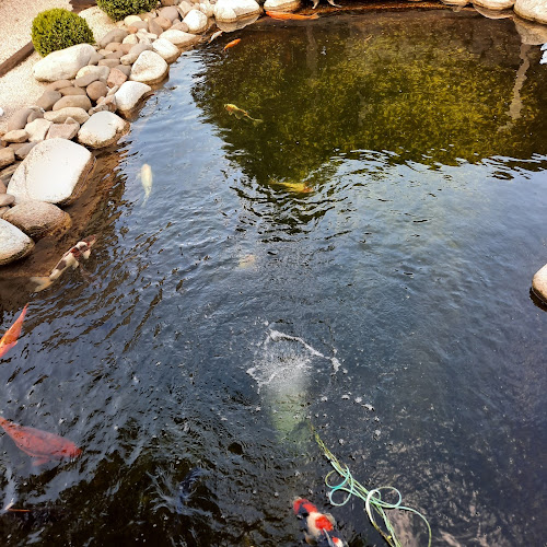 Tibet Park, Gúgska 134, 940 02 Nové Zámky